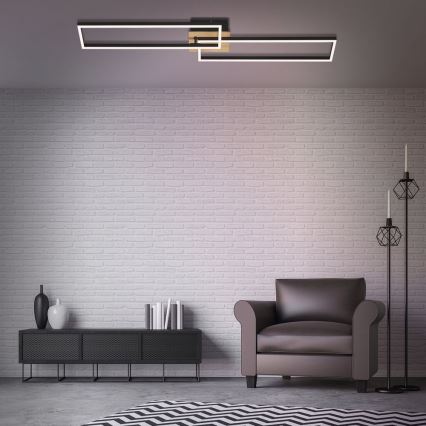 Brilo - LED Prigušivi nadgradni luster FRAME 2xLED/20W/230V 2700-5000K + Daljinski upravljač