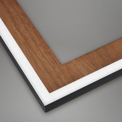 Brilo - LED Prigušivi nadgradni luster FRAME LED/45W/230V 2700-6500K + Daljinski upravljač
