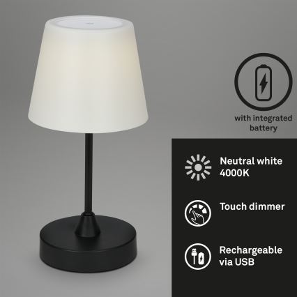Brilo - LED Vanjska prigušivi punjiva lampa LED/3W/5V IP44