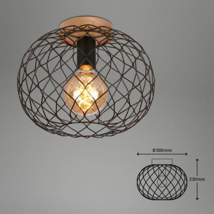 Brilo - Plafonjera WINKI 1xE27/40W/230V fikus elastika