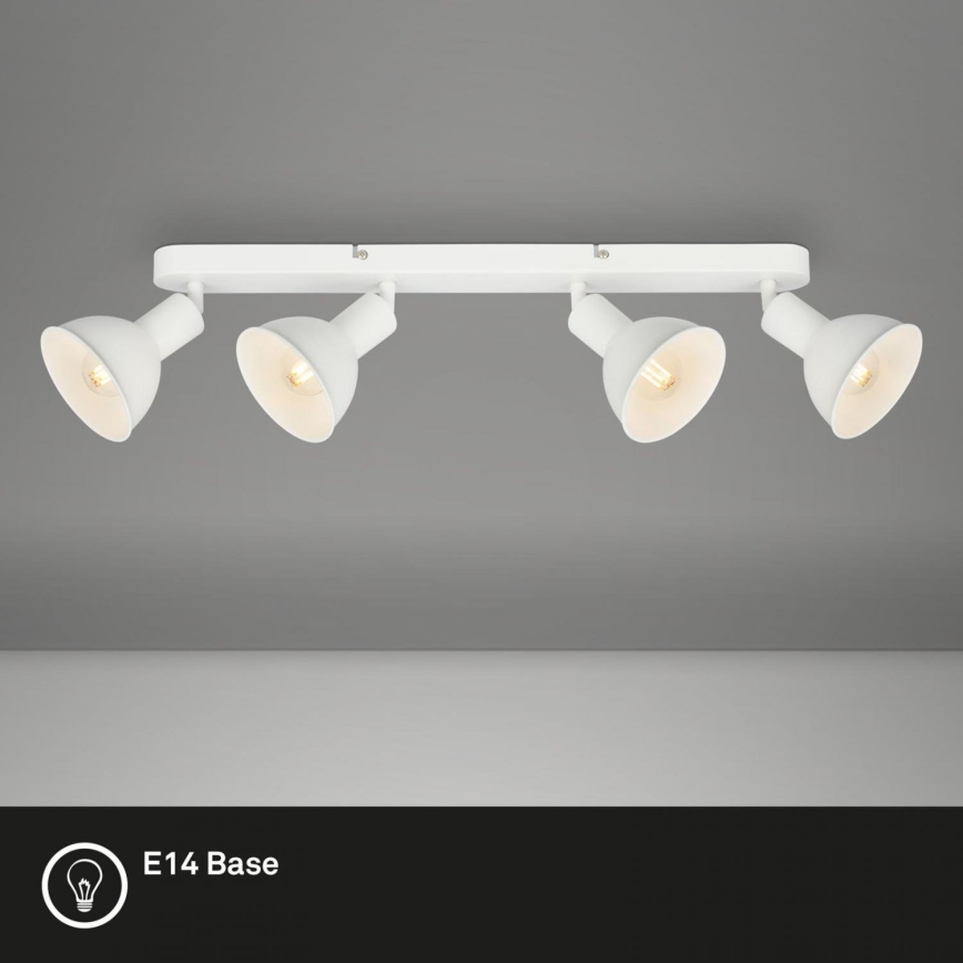 Brilo - Reflektorska lampa RETRO 4xE14/25W/230V bela