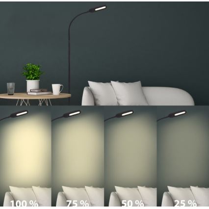 Briloner 1297-015 - LED Prigušiva fleksibilna stojeća lampa LED/6,6W/230V 3000K/4000K/6000K