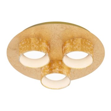 Briloner 2038-037 - LED plafonsko svetlo PRO 3xLED/5W/230V zlatno