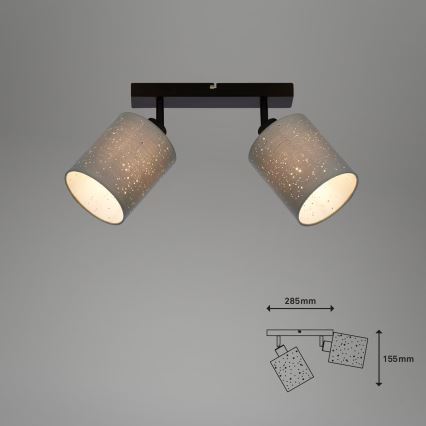 Briloner 2078-024 - Reflektorska lampa SPOTLIGHT 2xE27/25W/230V sivo/crno
