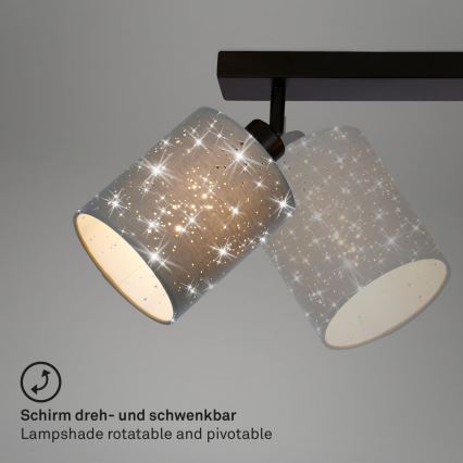 Briloner 2078-034 - Reflektorska lampa SPOTLIGHT 3xE27/25W/230V sivo/crno