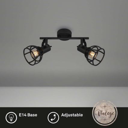 Briloner 2669-025 - Reflektorska lampa RETRO 2xE14/25W/230V