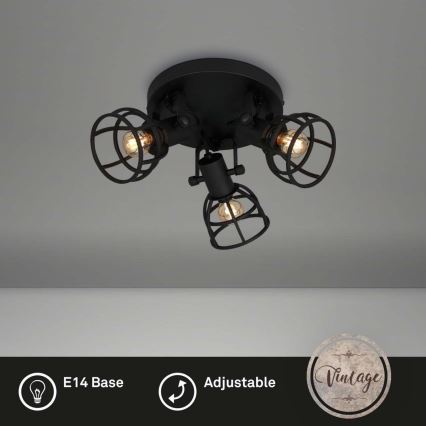 Briloner 2669-035 - Reflektorska lampa RETRO 3xE14/25W/230V