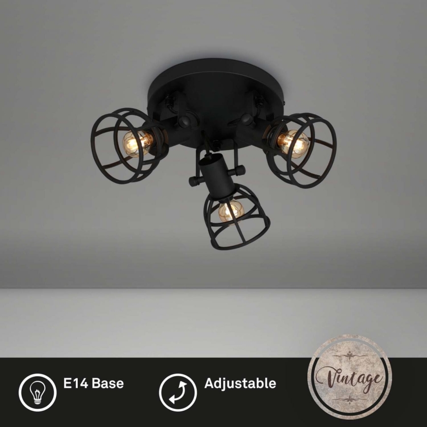 Briloner 2669-035 - Reflektorska lampa RETRO 3xE14/25W/230V