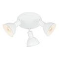 Briloner 2674-036 - Reflektorska lampa RETRO 3xE14/25W/230V bela