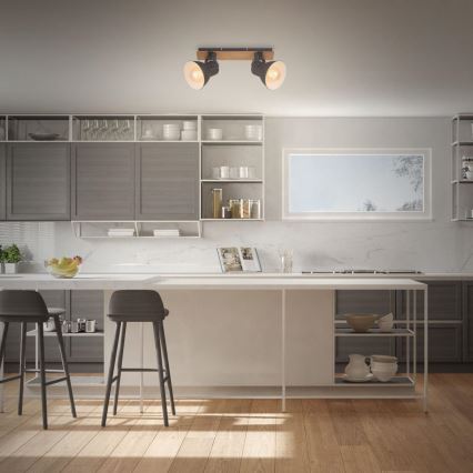 Briloner 2742-025 - Spot svetiljka SPOTLIGHT 2xE27/40W/230V crna/braon