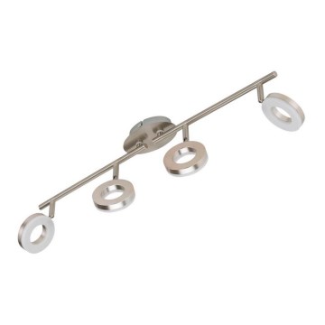 Briloner 2749-042 - LED Reflektorska lampa CIRCLE 4xLED/4W/230V