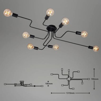 Briloner 2888-085 - Nadgradni luster FARETTO 8xE27/60W/230V crno