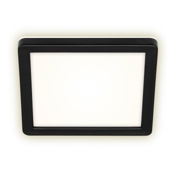 Briloner 3010-015 - LED Plafonjera LED/8W/230V 19x19 cm crno IP44