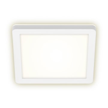 Briloner 3010-016 - LED Plafonjera LED/8W/230V 19x19 cm bela IP44