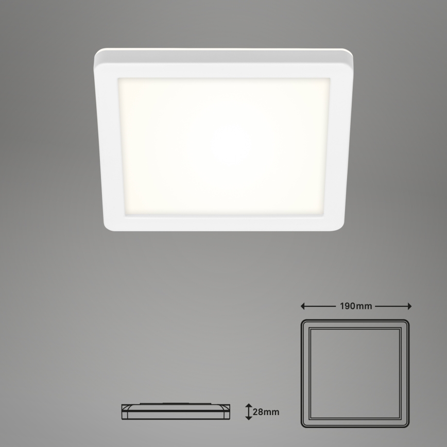 Briloner 3010-016 - LED Plafonjera LED/8W/230V 19x19 cm bela IP44