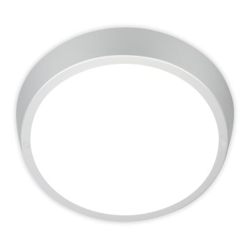 Briloner 3018-014 - LED plafonjera za kupatilo HAGEN LED/24W/230V IP44 bela
