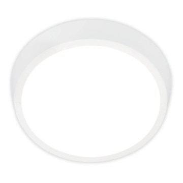 Briloner 3018-016 - LED Spoljašnja plafonjera HAGEN LED/24W/230V 4000K IP44 bela