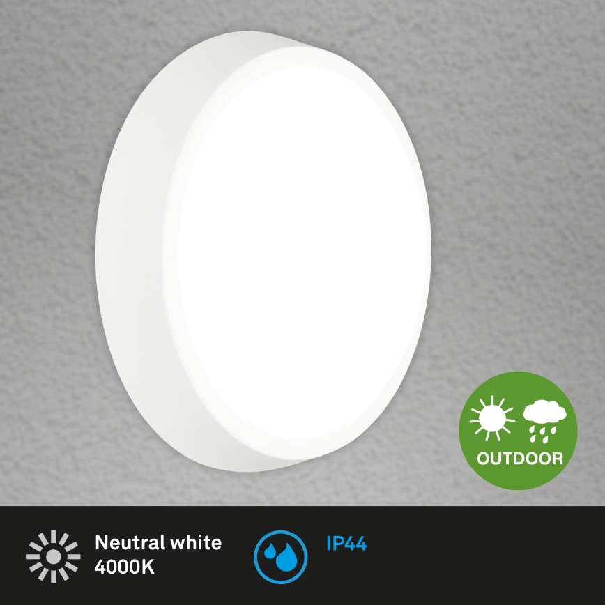Briloner 3018-016 - LED Spoljašnja plafonjera HAGEN LED/24W/230V 4000K IP44 bela
