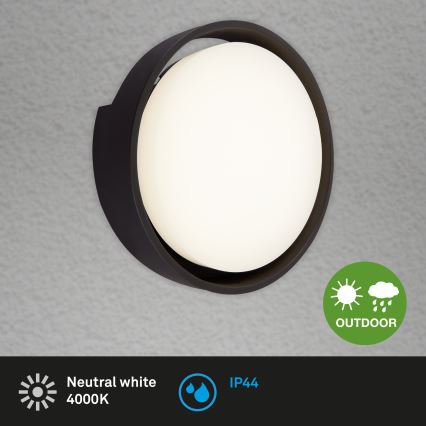 Briloner 3019-015 - LED Spoljna zidna lampa GENUA LED/18W/230V IP44 crno
