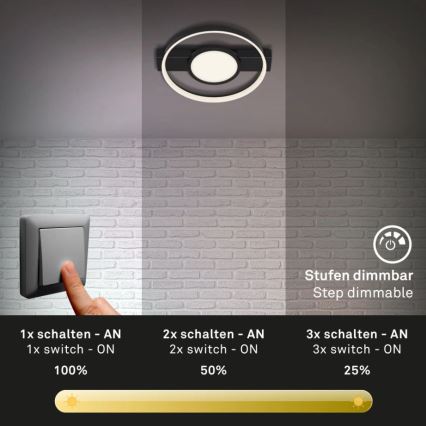 Briloner 3026-015 - LED Prigušiva plafonjera FRAME LED/33W/230V