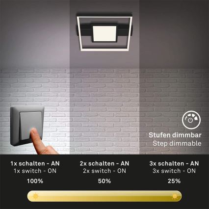 Briloner 3028-015 - LED Prigušiva plafonjera FRAME LED/38W/230V