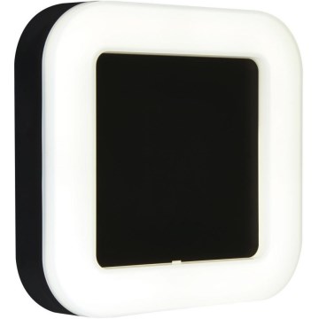 Briloner 3034-015 - LED Spoljna zidna lampa LED/15W/230V 4000K