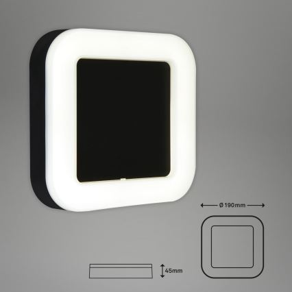Briloner 3034-015 - LED Spoljna zidna lampa LED/15W/230V 4000K