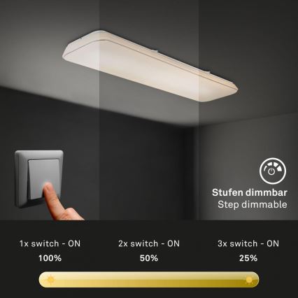 Briloner 3042-016 - LED Prigušiva plafonjera RUPA LED/48W/230V