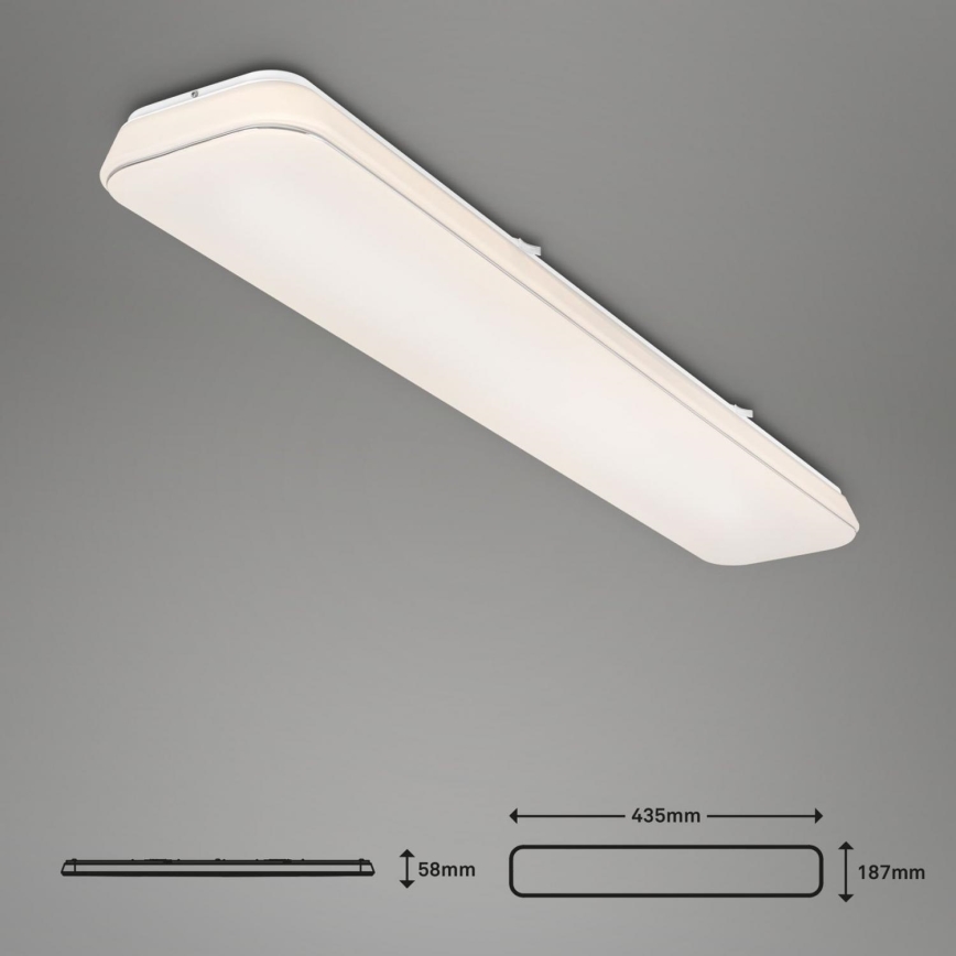 Briloner 3042-016 - LED Prigušiva plafonjera RUPA LED/48W/230V