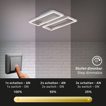 Briloner 3107-012 - LED Prigušiva plafonjera FRAME 2xLED/7,25W/230V