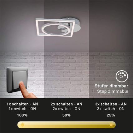 Briloner 3114-018 - LED Prigušiva plafonjera FRAME LED/19,6W/230V 3000K