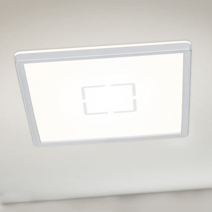 Briloner 3174-014 - LED Plafonjera FREE LED/12W/230V 19x19 cm