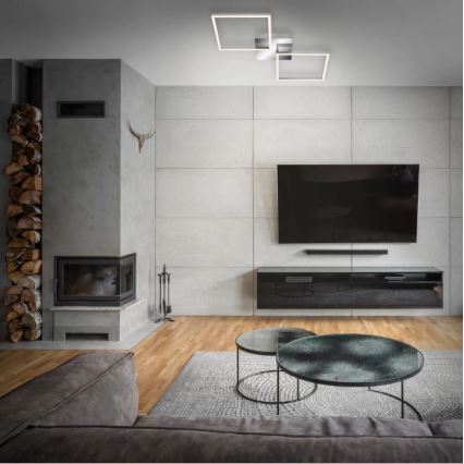 Briloner 3192-018 - LED plafonska svetiljka FRAMES 2xLED/16W/230V