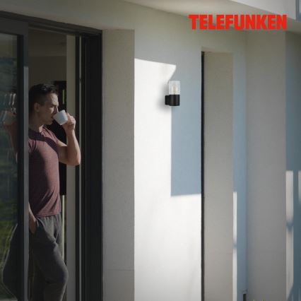 Briloner 320505TF - Spoljašnja zidna lampa 1xE27/12W/230V IP44 crno