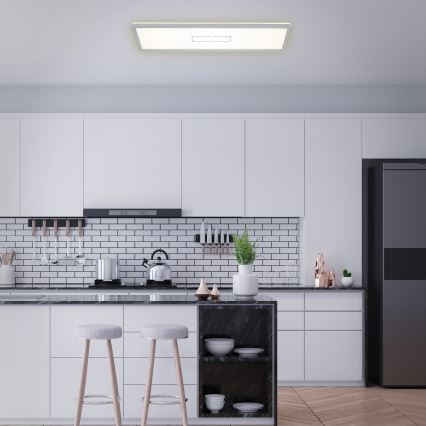 Briloner 3394-014 - LED Plafonjera FREE LED/22W/230V 58x20 cm
