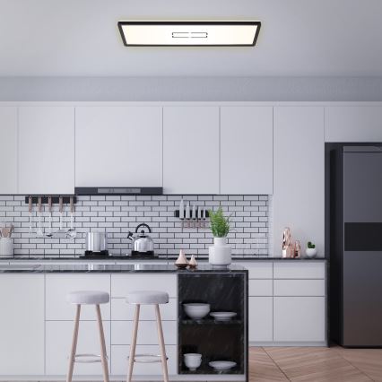 Briloner 3394-015 - LED Plafonjera FREE LED/22W/230V 58x20 cm
