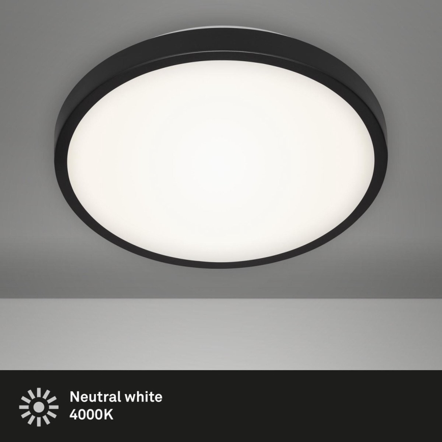 Briloner 3455-015 - LED Plafonjera MANNY LED/12W/230V