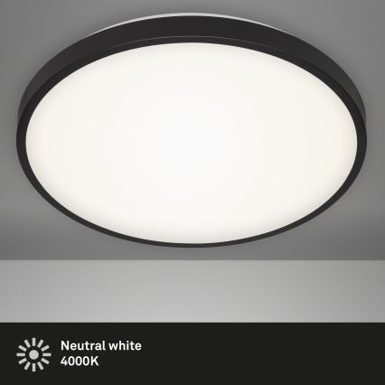 Briloner 3455-215 - LED Plafonjera MANNY LED/24W/230V