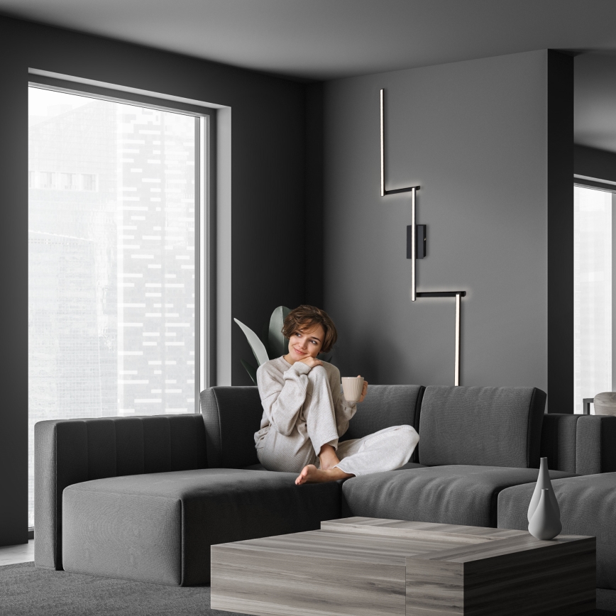 Briloner 3501-015 - LED plafonski luster STAFF 5xLED/4,8W/230V crna