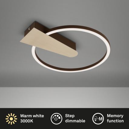 Briloner 3542017 - prigušiva LED plafonska svetiljka NICO LED/12W/230V zlatna