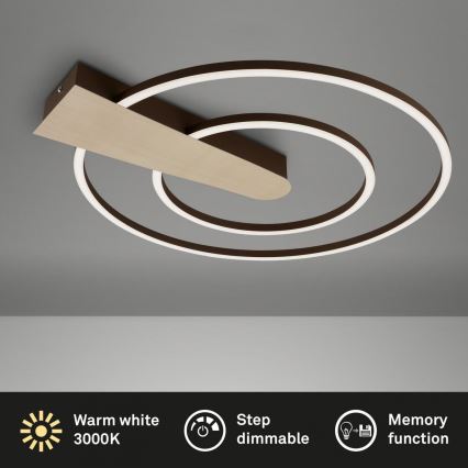 Briloner 3543-017 - LED prigušiva stropna lampa NICO LED/25W/230V zlatna