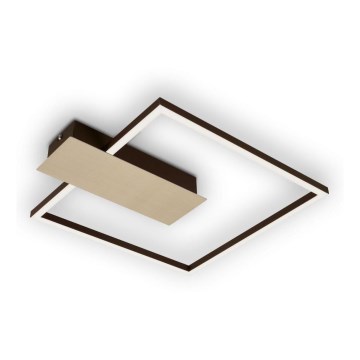 Briloner 3544-017 - LED Prigušiva plafonjera NICO LED/12W/230V zlatna