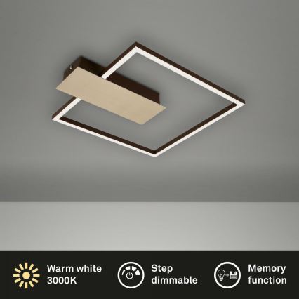 Briloner 3544-017 - LED Prigušiva plafonjera NICO LED/12W/230V zlatna