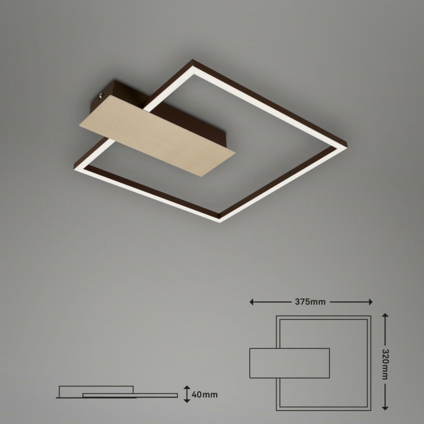 Briloner 3544-017 - LED Prigušiva plafonjera NICO LED/12W/230V zlatna