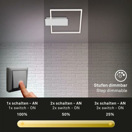 Briloner 3544-018 - LED Prigušiva plafonjera NICO LED/12W/230V krom