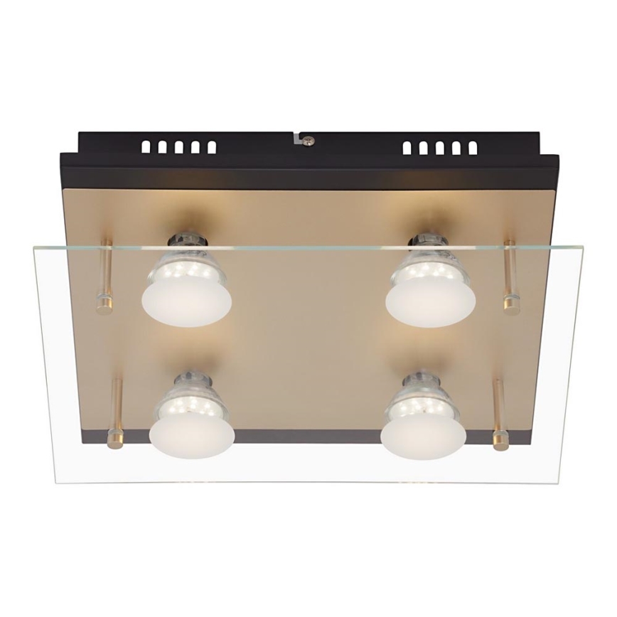 Briloner 3589-045 - LED Plafonjera 4xGU10/4W/230V