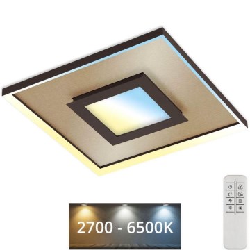 Briloner 3641-017 - LED prigušiva plafonska svetiljka FRAME LED/30W/230V 2700-6500K zlatna + daljinski upravljač