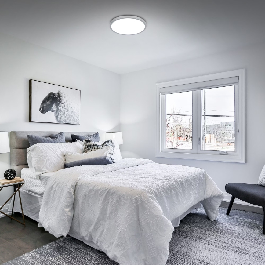 Briloner 3709-014 - prigušiva LED RGBW plafonska svetiljka LED/22W/230V 4000K prečnik 38 cm srebrna + daljinski upravljač