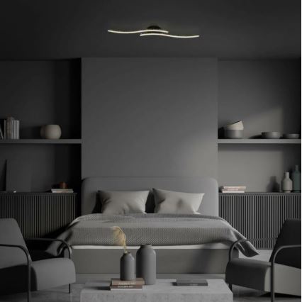 Briloner 3718-025 - LED Nadgradni luster REY 2xLED/6W/230V crno
