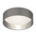 Briloner 3882-014 - LED plafonsko svetlo MAILA STARRY LED/18W/230V siva/srebrna